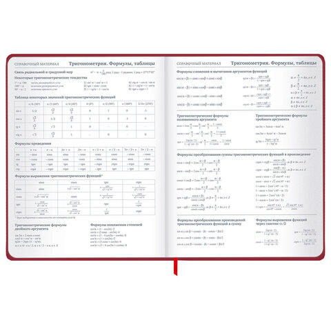 Дневник 1-11 класс 48 л., твердый, BRAUBERG, матовая ламинация, резинка, закладка-ляссе, с подсказом, "Мото", 107236 - фото 16