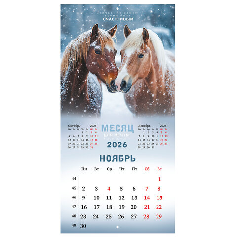 Календарь настенный перекидной 2026 г., BRAUBERG, 12 листов, 28,5х28,5 см, "Благородные лошади", 116932 - фото 14