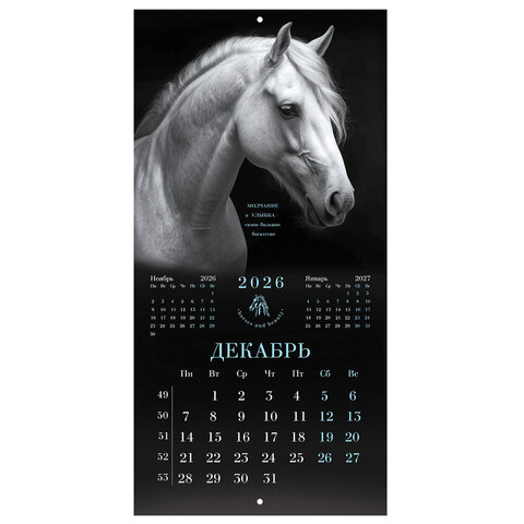 Календарь настенный перекидной 2026 г., BRAUBERG, 12 листов, 28,5х28,5 см, "Символ года", 116928 - фото 15