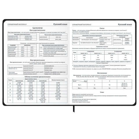Дневник 1-11 класс 48 л., твердый, BRAUBERG, матовая ламинация, резинка, закладка-ляссе, с подсказом, "Элементы", 107242 - фото 13