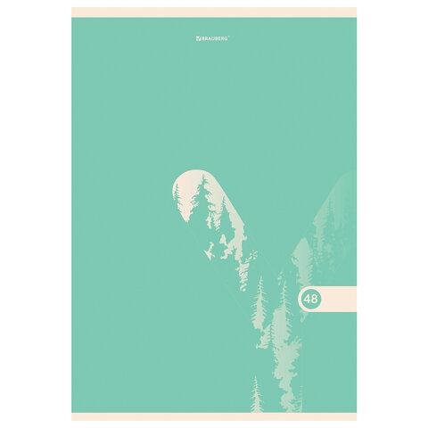 Тетрадь А4, 48 л., BRAUBERG, скоба, клетка, обложка картон, "PASTEL", 404041 - фото 4