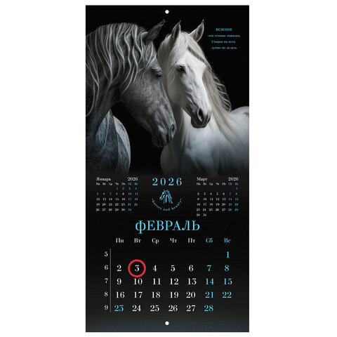 Календарь настенный перекидной 2026 г., BRAUBERG, 12 листов, 28,5х28,5 см, "Символ года", 116928 - фото 4