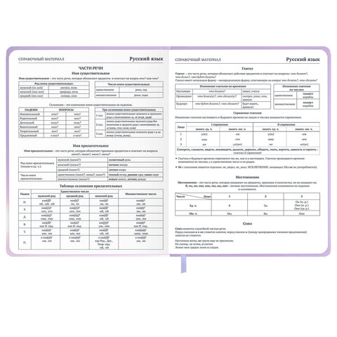 Дневник 1-11 класс 48 л., обложка кожзам (твердая с поролон), 3D-элемент, BRAUBERG, "Суровый кот", 107221 - фото 12