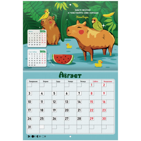 Календарь-планер настенный перекидной на 2026 г., BRAUBERG, 12 листов, 29,5х21,3 см, "Капибара", 116953 - фото 11