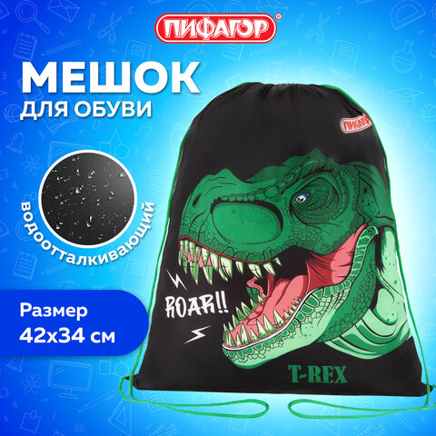 Мешок для обуви ПИФАГОР, 1 отделение, 42х34 см, "Dino roar", 272387 - фото 7