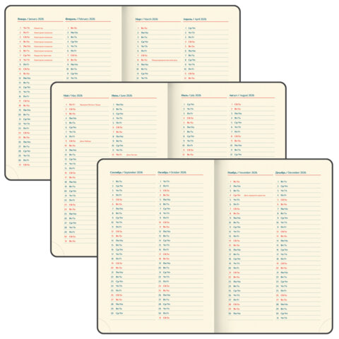 Ежедневник датированный 2026 B6 125х173 мм, GALANT "Vivid", под кожу, серый, 117410 - фото 7