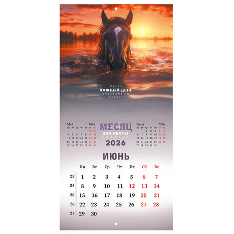 Календарь настенный перекидной 2026 г., BRAUBERG, 12 листов, 28,5х28,5 см, "Благородные лошади", 116932 - фото 9