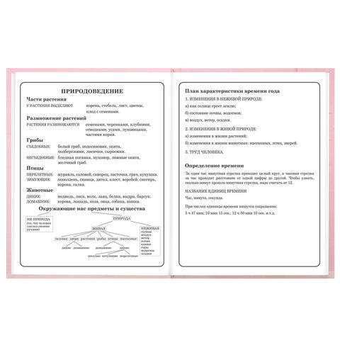 Дневник 1-4 класс 48 л., твердый, BRAUBERG, выборочный лак, с подсказом, "Миленький котёнок", 107594 - фото 16