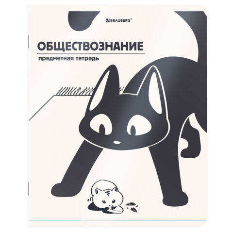 Тетради предметные, КОМПЛЕКТ 12 ПРЕДМЕТОВ 48 л., пластиковая обложка, BRAUBERG "КОТ-НЕПОСЕДА", 405542 - фото 3