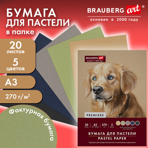 Бумага для пастели ФАКТУРНАЯ, А3, в папке, 20 листов, 5 цветов, 270 г/м2, BRAUBERG ART, 117756 - фото 4