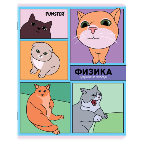 Тетради предметные, КОМПЛЕКТ 12 ПРЕДМЕТОВ, 48 л., TWIN-лак, FUNSTER (ФАНСТЕР), МЕМНЫЕ КОТЫ, 405604 - фото 11