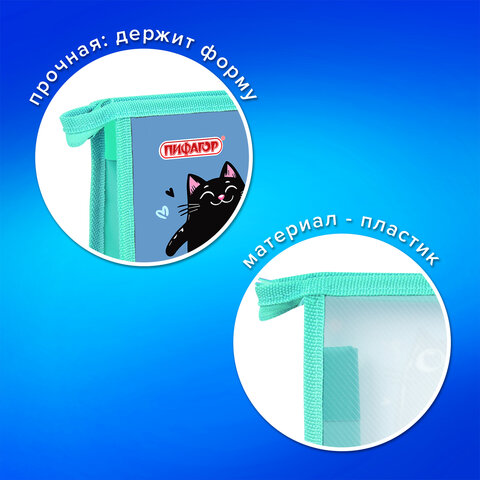 Папка на молнии с ручками ПИФАГОР А4, 1 отделение, пластик, ручки-шнурок, "Funny cats", 273353 - фото 7