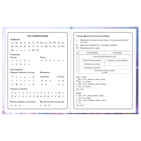 Дневник 1-4 класс 48 л., твердый, BRAUBERG, глянцевая ламинация, с подсказом, "Princess", 107590 - фото 10