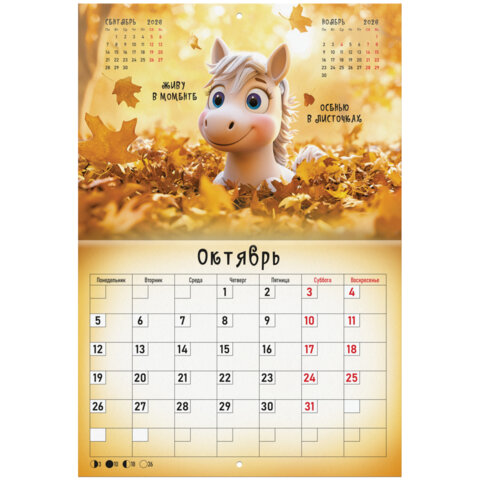 Календарь-планер настенный перекидной на 2026 г., BRAUBERG, 12 листов, 29,5х21,3 см, "Magic", 116951 - фото 13