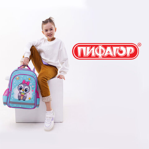Рюкзак ПИФАГОР SCHOOL, 1 отделение, 3 кармана, "Smart penguin", 38x28х14 см, 271403 - фото 16