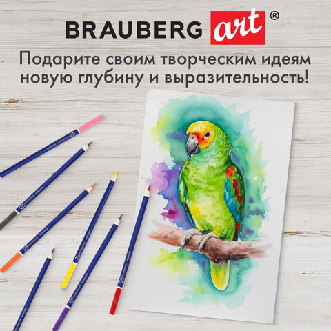 Карандаши художественные цветные акварельные BRAUBERG ART CLASSIC, 48 цветов, грифель 3,3 мм, 181532 - фото 16