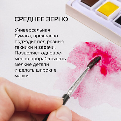 Бумага для акварели 300 г, 270x390 мм, среднее зерно, 10 листов, BRAUBERG ART PREMIERE, 115335 - фото 8