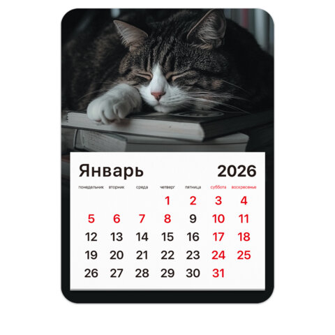 Календарь отрывной на магните на 2026 г., BRAUBERG, 130х180 мм, склейка, "Спящий кот", 117292 - фото 1