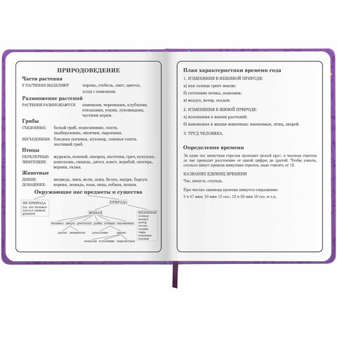 Дневник 1-4 класс 48 л., кожзам (твердая), 3D-элемент, ЮНЛАНДИЯ, "Собачка", 106930 - фото 18