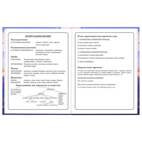Дневник 1-4 класс 48 л., твердый, ЮНЛАНДИЯ, выборочный лак, с подсказом, "Лисёнок", 107596 - фото 17