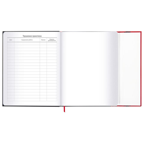 Дневник 1-11 класс 48 л., твердый, BRAUBERG, матовая ламинация, магнитный клапан, закладка-ляссе, с подсказом, "Авто", 107246 - фото 20