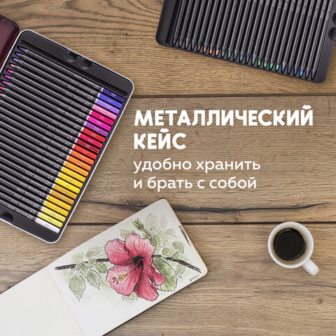 Карандаши цветные художественные BRAUBERG ART PREMIERE, НАБОР 48 цветов, 4 мм, металл кейс, 181694 - фото 13