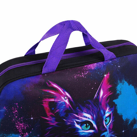 Папка на молнии с ручками BRAUBERG А4, 1 отделение, полиэстер, 80 мм, "Neon cat", 271482 - фото 4