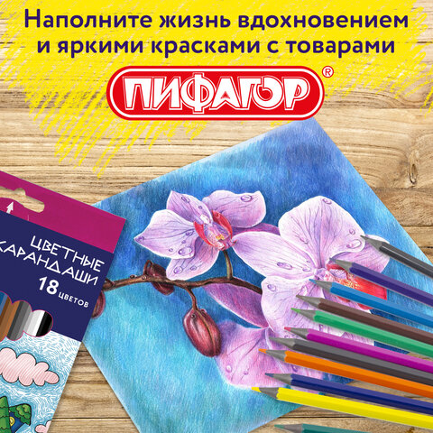 Карандаши цветные ПИФАГОР "СКАЗОЧНЫЙ ГОРОД", 18 цветов, шестигранные, 181584 - фото 13