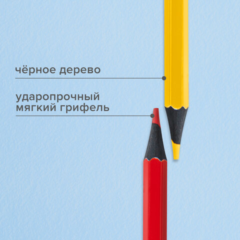 Карандаши цветные BRAUBERG, 24 цвета, шестигранные, грифель 3,3 мм, черное дерево, 181858 - фото 8
