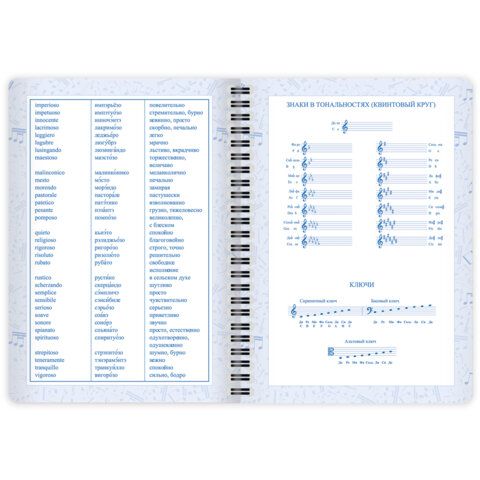 Дневник для музыкальной школы 48 листов, гребень, пластиковая обложка, картон, BRAUBERG, "МИКС", 107519 - фото 12