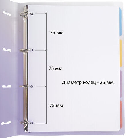 Тетрадь на кольцах БОЛЬШАЯ 305х235 мм А4, 120 л., пластик, с разделителями, BRAUBERG, Фиолетовый, 404623 - фото 4