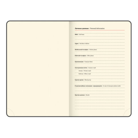 Ежедневник датированный 2026, МАЛЫЙ ФОРМАТ 100х150 мм, А6, BRAUBERG "Imperial", под кожу, бордо, 117254 - фото 6