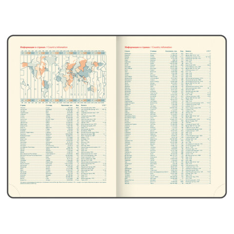 Ежедневник датированный 2026 B6 125х173 мм, GALANT "Vivid", под кожу, серый, 117410 - фото 9