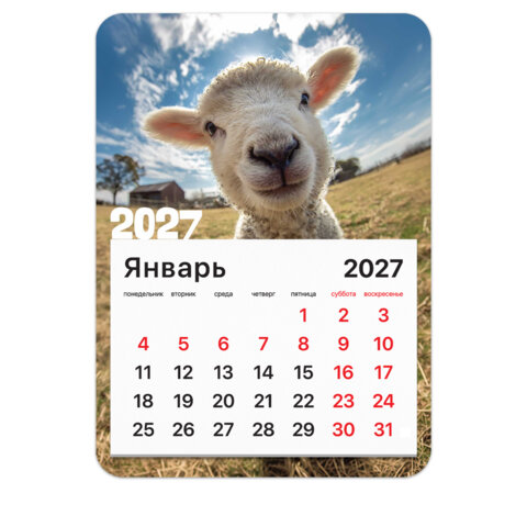 Календарь отрывной на магните на 2027 г., BRAUBERG, 130x180 мм, склейка, "Символ года", 118484 - фото 1