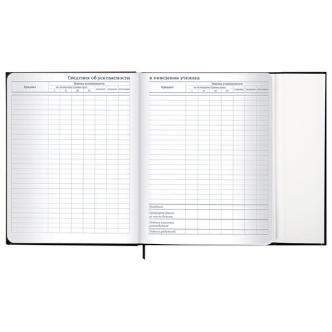 Дневник 1-11 класс 48 л., твердый, BRAUBERG, матовая ламинация, магнитный клапан, закладка-ляссе, с подсказом, "Дракон", 107245 - фото 19