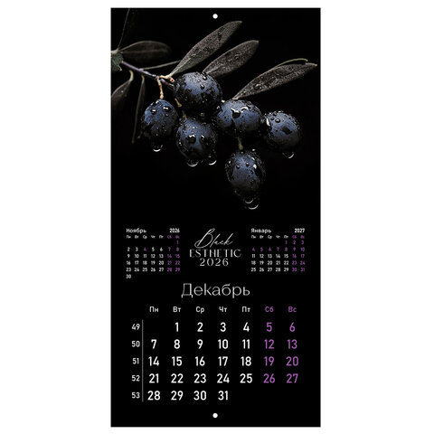 Календарь настенный перекидной 2026 г., BRAUBERG, 12 листов, 28,5х28,5 см, "Black esthetic", 116927 - фото 15