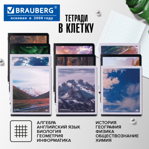 Тетради предметные, КОМПЛЕКТ 12 ПРЕДМЕТОВ, 48 л., матовая ламинация, BRAUBERG, "ПРИРОДА", 405606 - фото 19