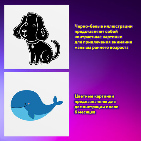 Карточки для новорожденных 6 книжек-гармошек ДЛЯ РАЗВИТИЯ ЗРЕНИЯ С ПЕЛЕНОК, ЮНЛАНДИЯ, 691023 - фото 9