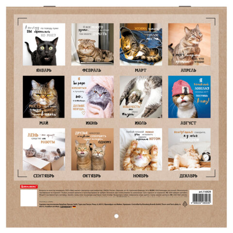 Календарь настенный перекидной 2026 г., BRAUBERG, 12 листов, 28,5х28,5 см, "Милые котики", 116929 - фото 17