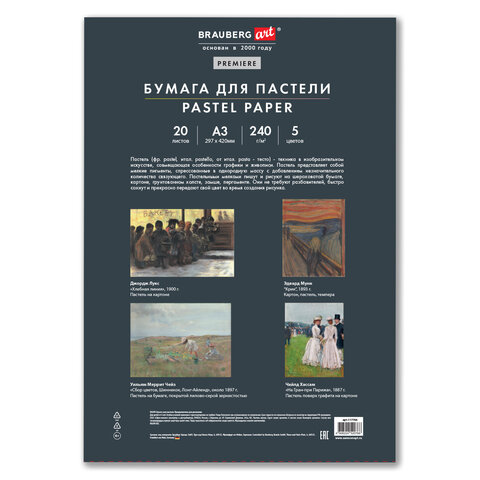 Бумага для пастели АБРАЗИВНАЯ А3 в папке, 20 листов, 5 цветов, 240 г/м2, BRAUBERG ART, 117764 - фото 3