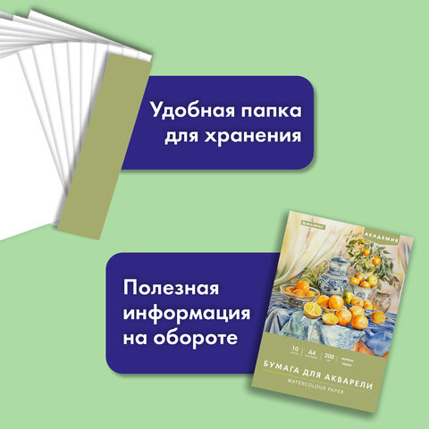 Папка для акварели А4, 210х297 мм, 10 листов, 200 г/м2, BRAUBERG АКАДЕМИЯ (ДЭК), "Апельсины", 117743 - фото 9