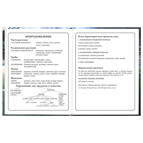 Дневник 1-4 класс 48 л., твердый, ЮНЛАНДИЯ, глянцевая ламинация, с подсказом, "Футбол", 107583 - фото 16