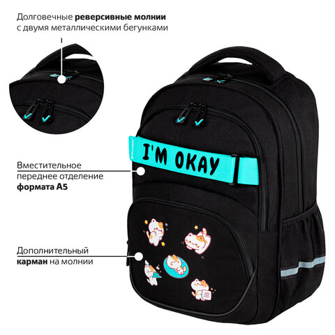 Рюкзак BRAUBERG MOTION, 2 отделения, 3 кармана, "Positive cats", 41х28х17 см, 273114 - фото 13