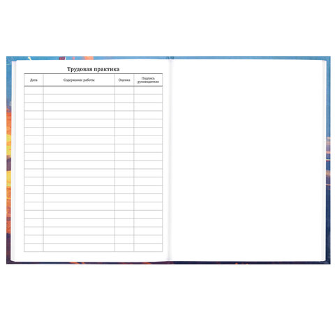 Дневник 5-11 класс 48 л., твердый, BRAUBERG, глянцевая ламинация, с подсказом, "Футбол", 107613 - фото 16