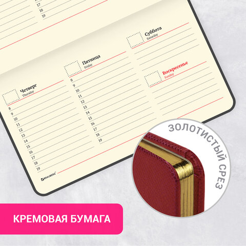 Еженедельник недатированный МАЛЫЙ ФОРМАТ 95х155 мм, А6, BRAUBERG "Iguana", под кожу, 64 л., красный, 114481 - фото 15