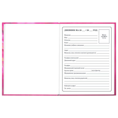 Дневник 1-4 класс 48 л., твердый, ЮНЛАНДИЯ, выборочный лак, с подсказом, "Панда", 107597 - фото 5