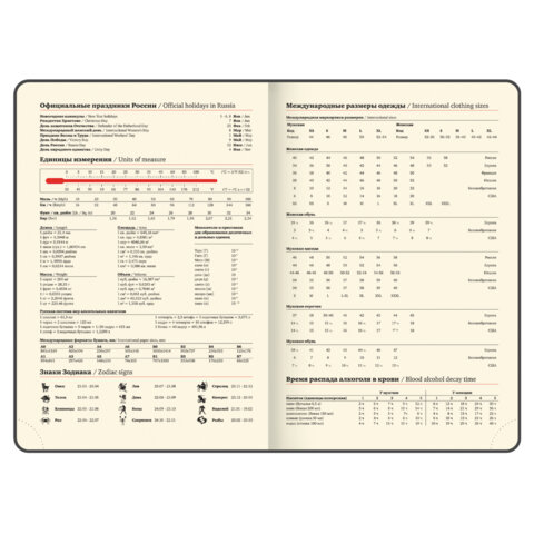 Ежедневник датированный 2026, БОЛЬШОЙ ФОРМАТ 210х297 мм, А4, BRAUBERG "Comodo", под кожу, синий, 117243 - фото 9