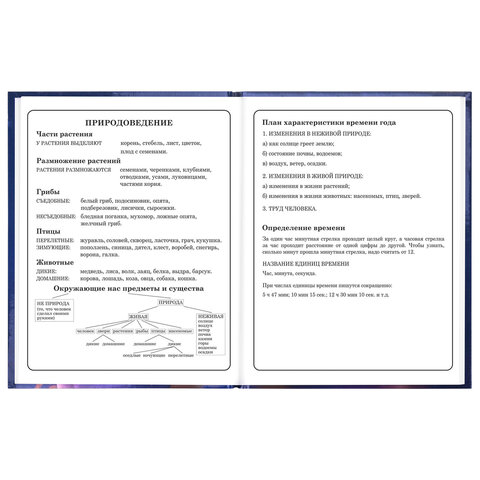 Дневник 1-4 класс 48 л., твердый, ЮНЛАНДИЯ, глянцевая ламинация, с подсказом, "Принцесса", 107582 - фото 16