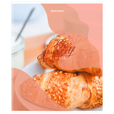 Тетрадь А5, 48 л., BRAUBERG, скоба, клетка, матовая ламинация, выборочный лак, "Sweets" (микс в спайке), 404373 - фото 6