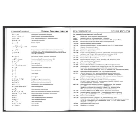 Дневник 5-11 класс 48 л., твердый, FUNSTER (ФАНСТЕР), выборочный лак, с подсказом, "Гусыня-балерина", 107615 - фото 13